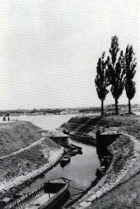 Die Ausmndung in den Rhein 1958